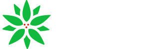 Immobiliare AZALEA72